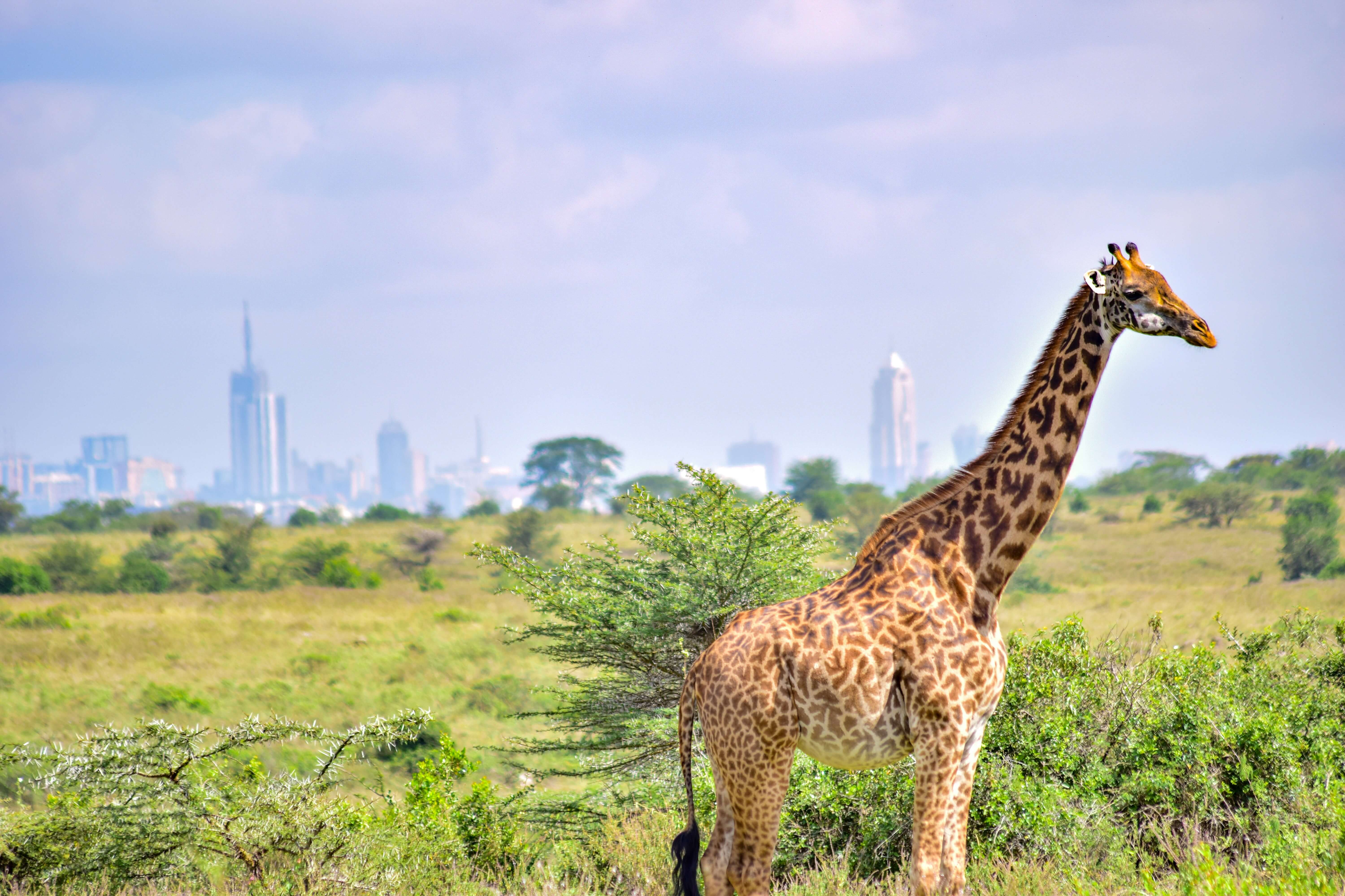 Nairobi, Kenya